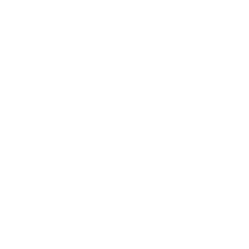 server